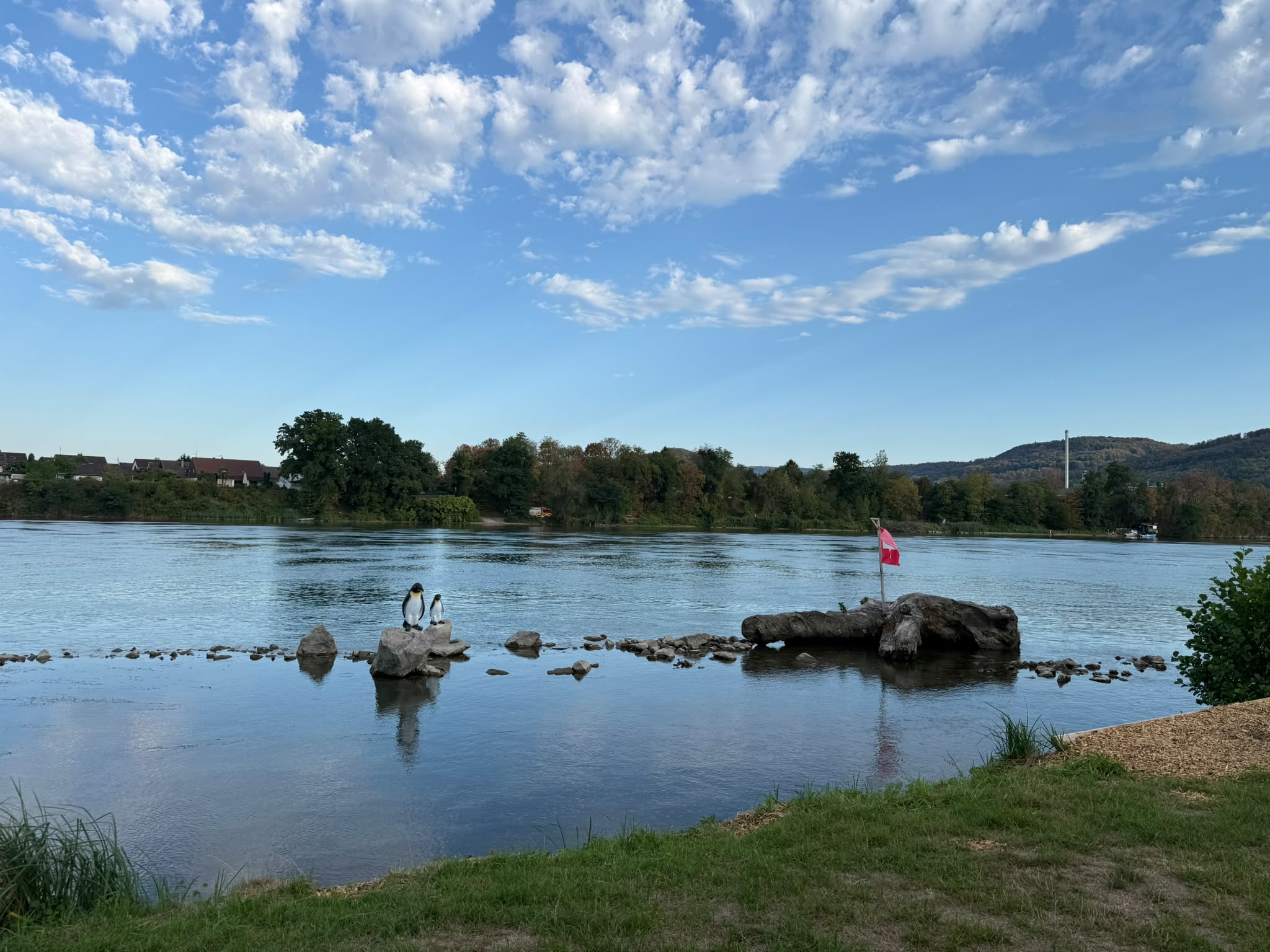 Rhein und Badplatz Wallbach