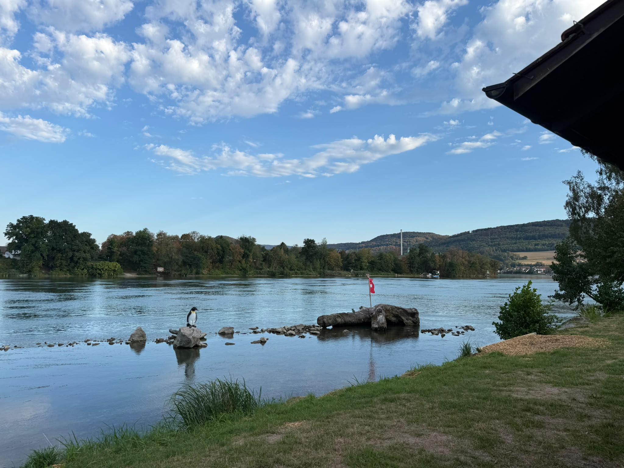 Rhein bei Wallbach