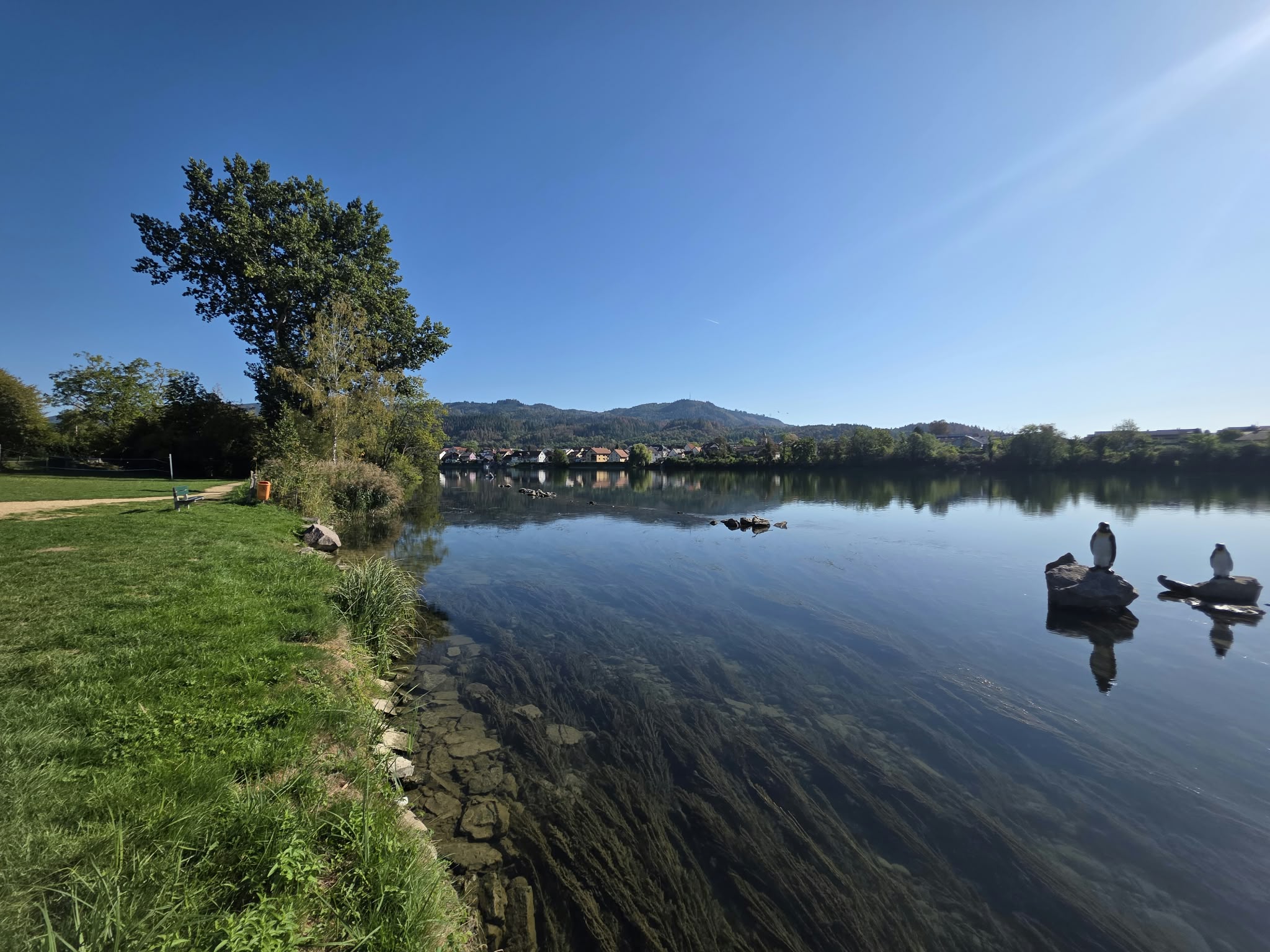 Fischerlebnis am See