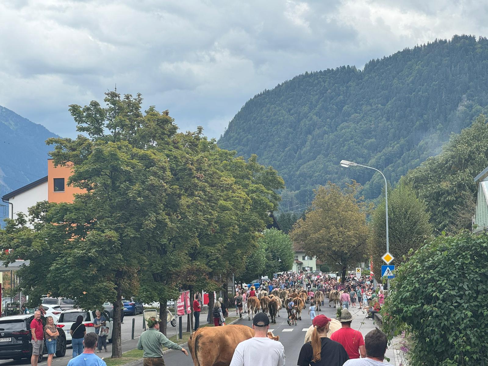 Alpabzug in Vandans